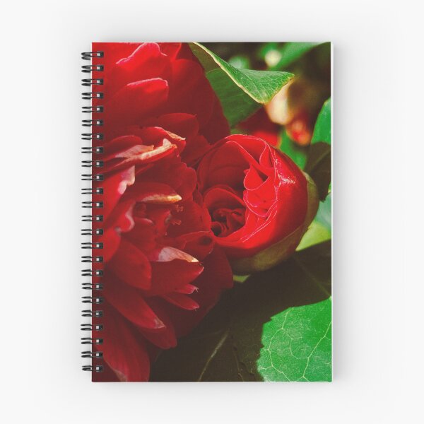 Item preview, pretty flowers on a spring day in scoltand (glasgow, april 2026) designed and sold by photosbykel.