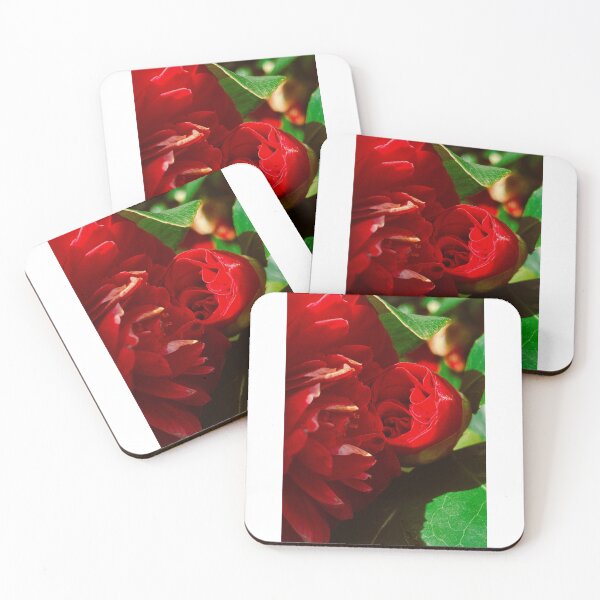 Item preview, pretty flowers on a spring day in scoltand (glasgow, april 2026) designed and sold by photosbykel.