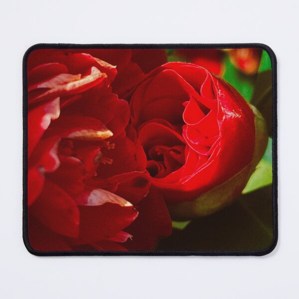 Item preview, pretty flowers on a spring day in scoltand (glasgow, april 2026) designed and sold by photosbykel.