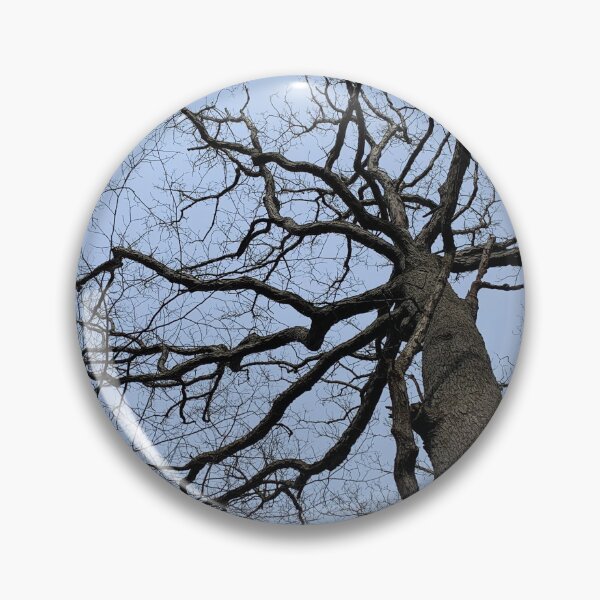 Item preview, late fall trees designed and sold by photographic contemplations.