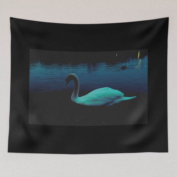 Item preview, dramatic swan portrait (scotland) (april 2026) designed and sold by photosbykel.