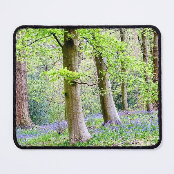 Item preview, The Bluebell Wood designed and sold by John Thurgood.