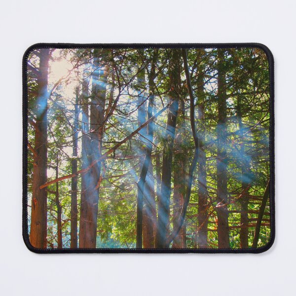 Item preview, Sunlight Breaking Through the Pines designed and sold by FFP Landscapes.