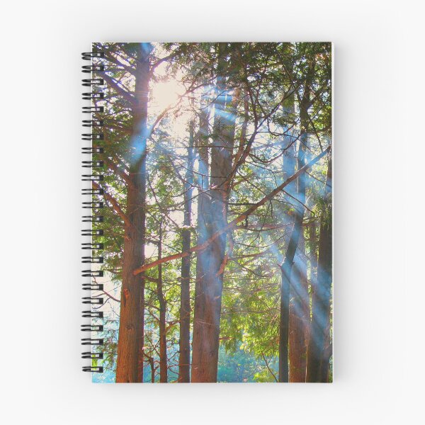 Item preview, Sunlight Breaking Through the Pines designed and sold by FFP Landscapes.