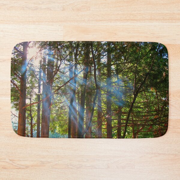Item preview, Sunlight Breaking Through the Pines designed and sold by FFP Landscapes.