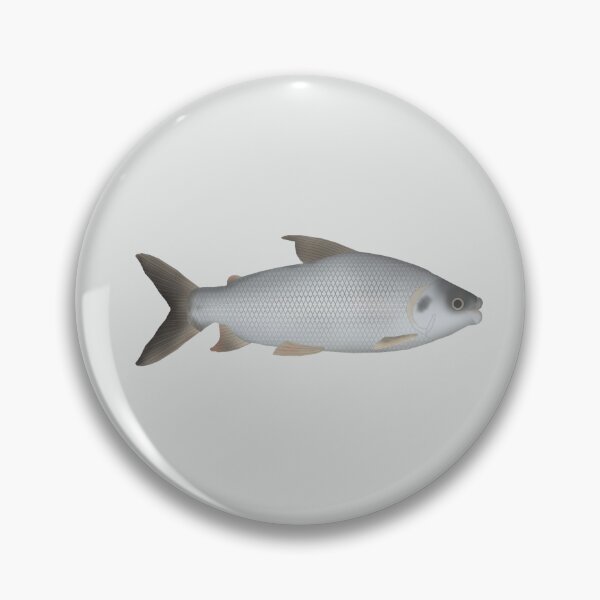 Item preview, Streaked Prochilod designed and sold by fishfolkart.