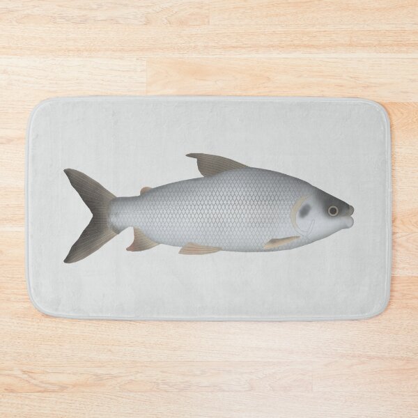 Item preview, Streaked Prochilod designed and sold by fishfolkart.