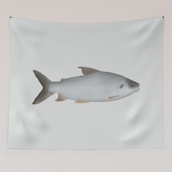 Item preview, Streaked Prochilod designed and sold by fishfolkart.