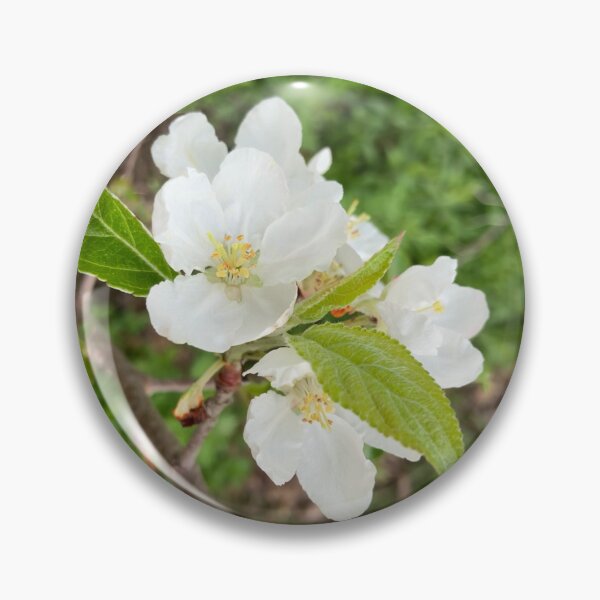 Item preview, Apple Blossoms designed and sold by Amanda1775.