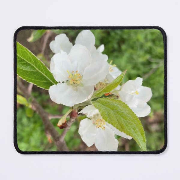 Item preview, Apple Blossoms designed and sold by Amanda1775.