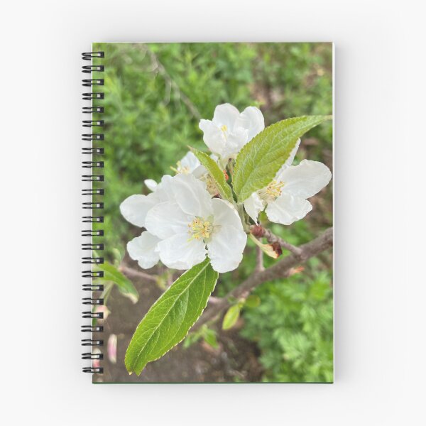 Item preview, Apple Blossoms designed and sold by Amanda1775.
