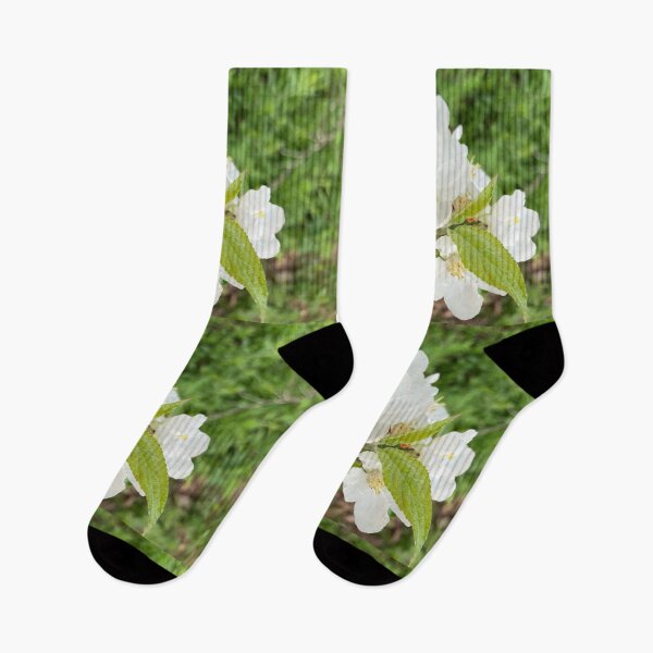 Item preview, Apple Blossoms designed and sold by Amanda1775.