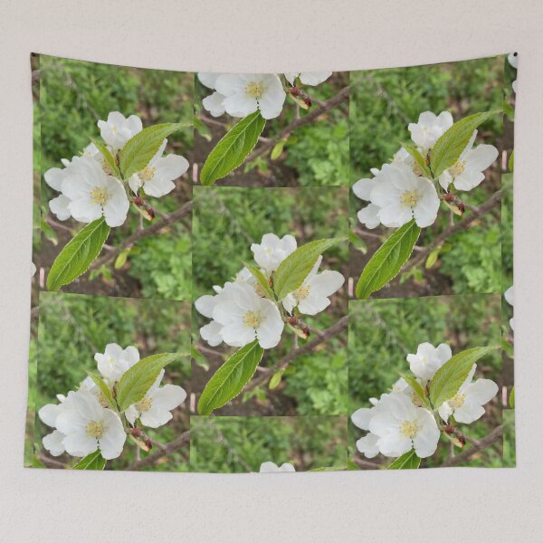 Item preview, Apple Blossoms designed and sold by Amanda1775.