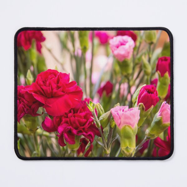 Item preview, Red & Pink Carnations — Close Up Floral Photography designed and sold by 313FILES.