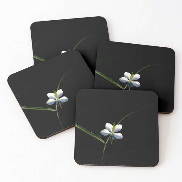 Item preview, White Gaura Flower on Black Background designed and sold by MajikFlower.