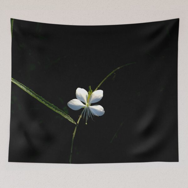 Item preview, White Gaura Flower on Black Background designed and sold by MajikFlower.