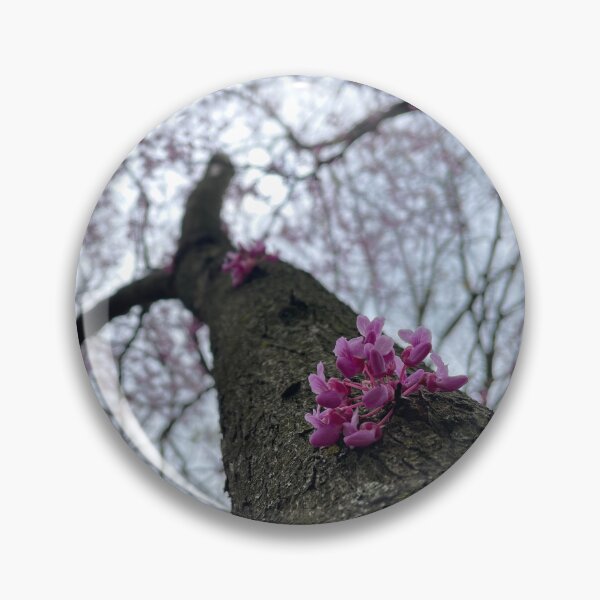 Item preview, spring trees blooming 2 designed and sold by photographic contemplations.