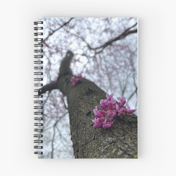 Item preview, spring trees blooming 2 designed and sold by photographic contemplations.