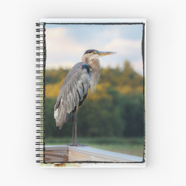 Item preview, Great Blue Great View Great Meadows designed and sold by Owed To Nature.