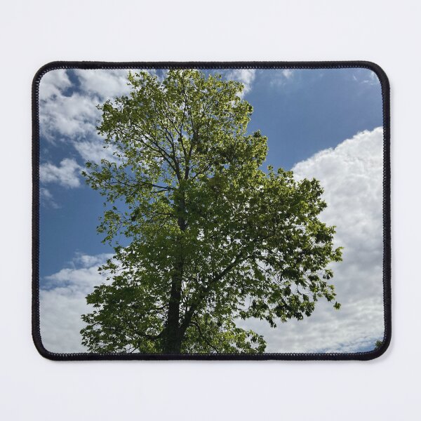 Item preview, In Front of Brightness designed and sold by Abeink1030.