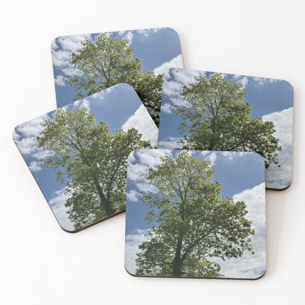 Item preview, In Front of Brightness designed and sold by Abeink1030.
