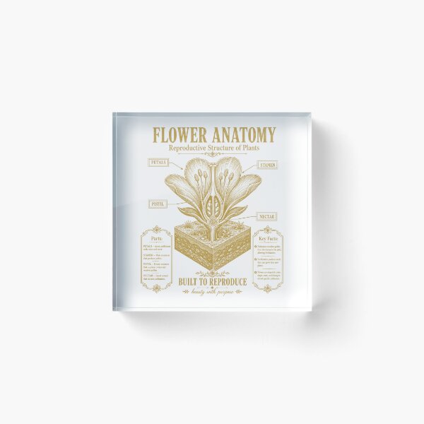 Item preview, Flower Anatomy Diagram Vintage Botany Plant Biology Chart designed and sold by FreshVibe Prints.
