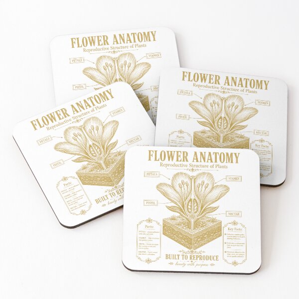 Item preview, Flower Anatomy Diagram Vintage Botany Plant Biology Chart designed and sold by FreshVibe Prints.