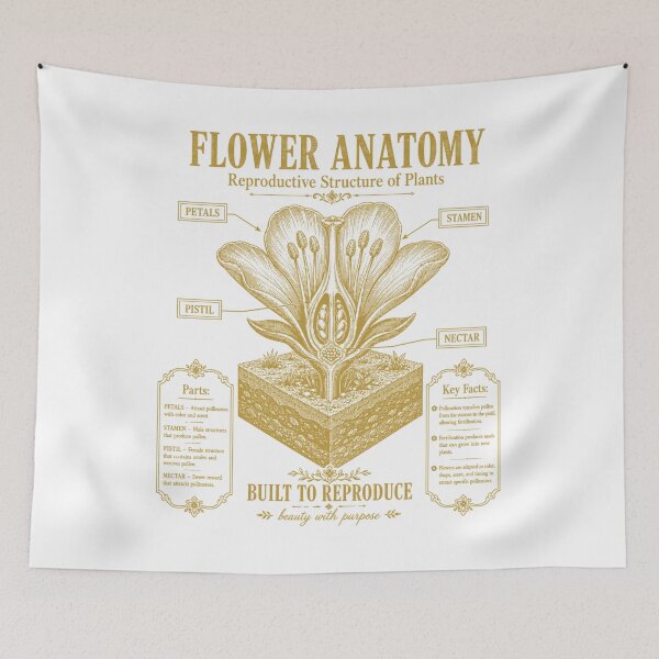 Item preview, Flower Anatomy Diagram Vintage Botany Plant Biology Chart designed and sold by FreshVibe Prints.