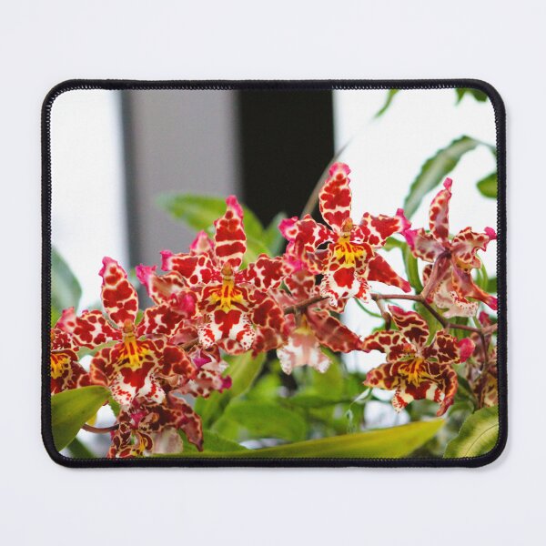 Item preview, Pinkie designed and sold by Cynthia48.
