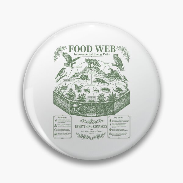 Item preview, Food Web Diagram Ecosystem Energy Flow Science Chart designed and sold by FreshVibe Prints.
