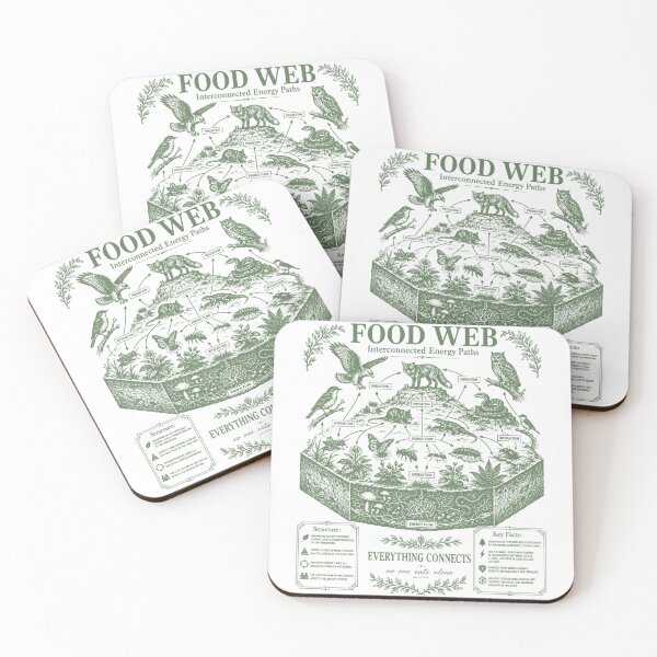 Item preview, Food Web Diagram Ecosystem Energy Flow Science Chart designed and sold by FreshVibe Prints.