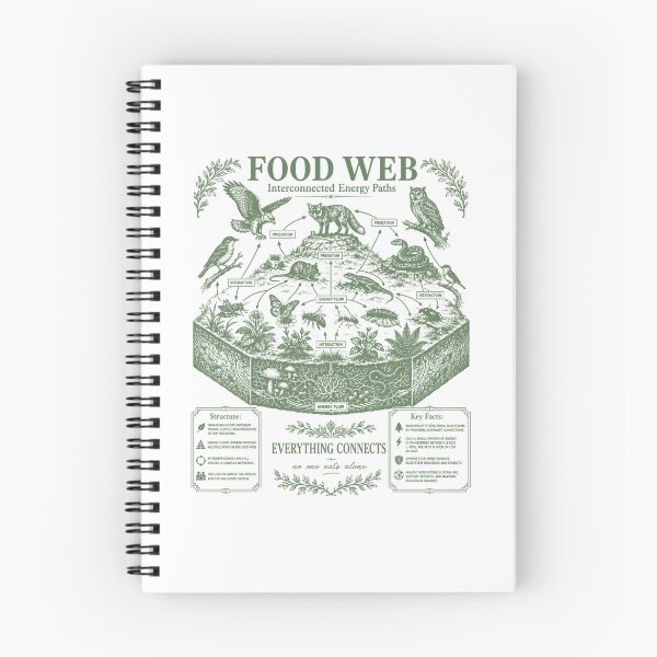 Item preview, Food Web Diagram Ecosystem Energy Flow Science Chart designed and sold by FreshVibe Prints.