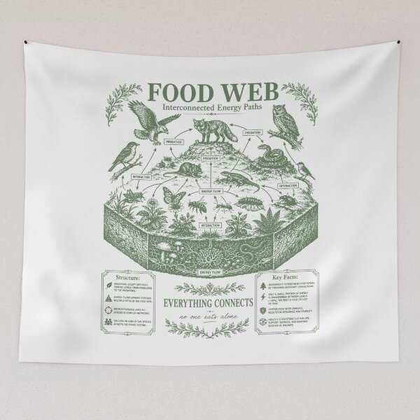 Item preview, Food Web Diagram Ecosystem Energy Flow Science Chart designed and sold by FreshVibe Prints.