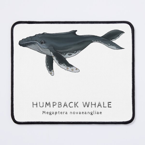 Item preview, Humpback whale designed and sold by ETtrian.