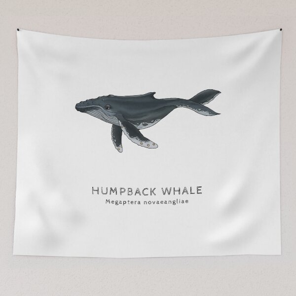 Item preview, Humpback whale designed and sold by ETtrian.