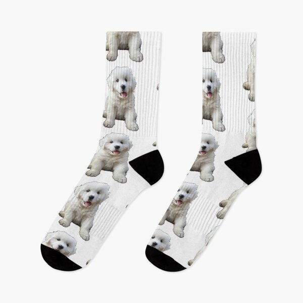 Item preview, Realistic Malshi Puppy Sticker | Cute Maltese Shih Tzu Mix Portrait | Puppy Lover Gift designed and sold by TheTodayTribe.
