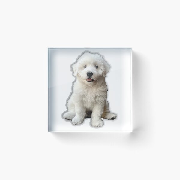 Item preview, Realistic Malshi Puppy Sticker | Cute Maltese Shih Tzu Mix Portrait | Puppy Lover Gift 002 designed and sold by TheTodayTribe.