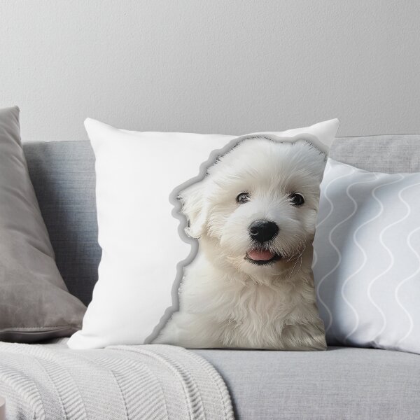 Item preview, Realistic Malshi Puppy Sticker | Cute Maltese Shih Tzu Mix Portrait | Puppy Lover Gift 002 designed and sold by TheTodayTribe.