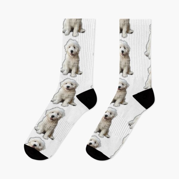 Item preview, Realistic Malshi Puppy Sticker | Cute Maltese Shih Tzu Mix Portrait | Puppy Lover Gift 002 designed and sold by TheTodayTribe.