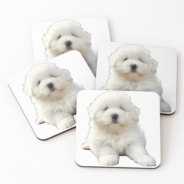 Item preview, Realistic Malshi Puppy Sticker | Cute Maltese Shih Tzu Mix Portrait | Puppy Lover Gift 003 designed and sold by TheTodayTribe.