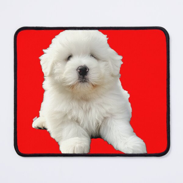 Item preview, Realistic Malshi Puppy Sticker | Cute Maltese Shih Tzu Mix Portrait | Puppy Lover Gift 003 designed and sold by TheTodayTribe.