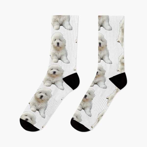 Item preview, Realistic Malshi Puppy Sticker | Cute Maltese Shih Tzu Mix Portrait | Puppy Lover Gift 003 designed and sold by TheTodayTribe.