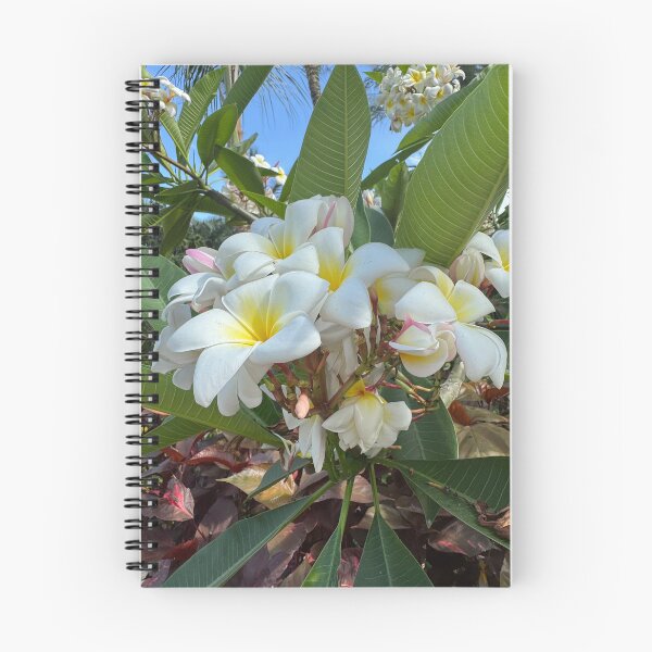 Item preview, Fragrant Plumeria - Tropical Frangipani Blossoms designed and sold by Cruisebysunny.