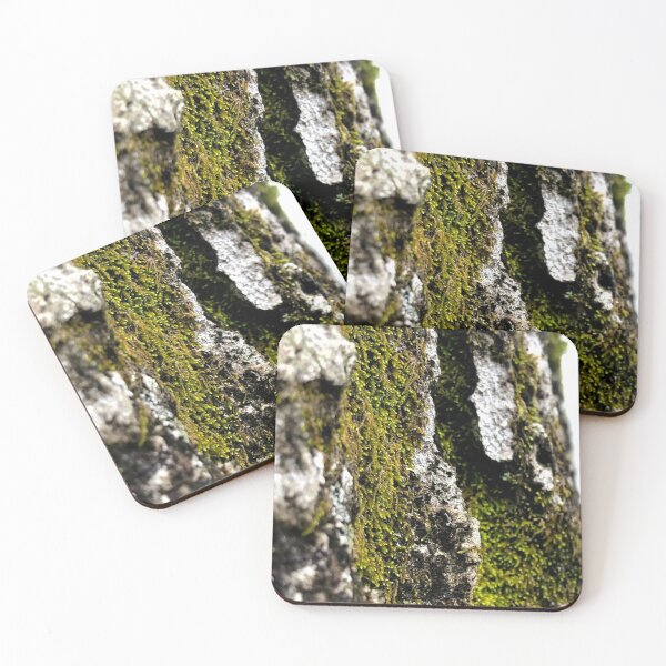 Item preview, righteous moss, real photograph designed and sold by GiSilver.