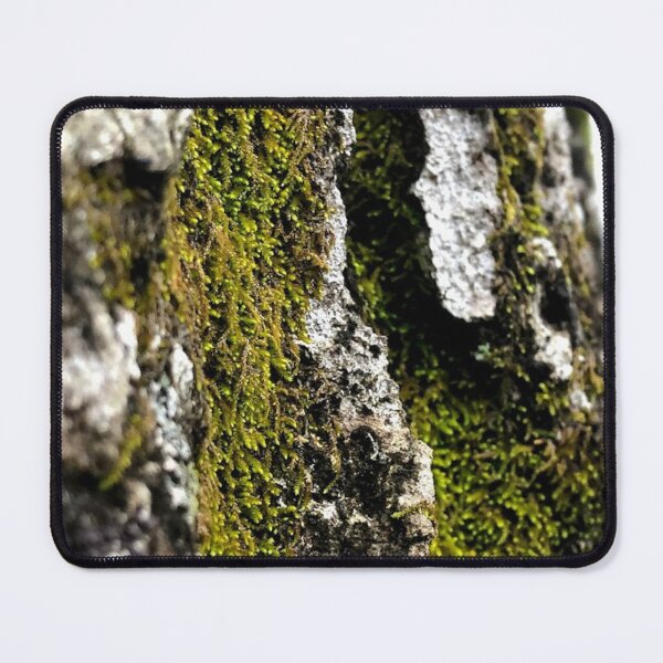 Item preview, righteous moss, real photograph designed and sold by GiSilver.