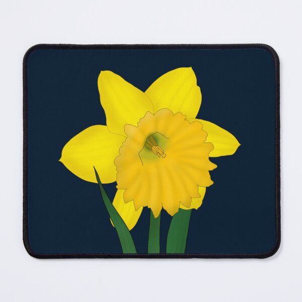 Item preview, Dutch Master Daffodil designed and sold by Floralfusion.