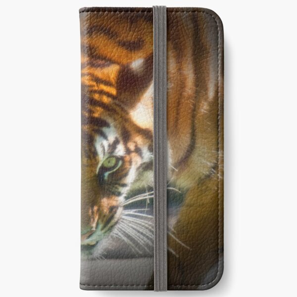 The Stare iPhone Wallet