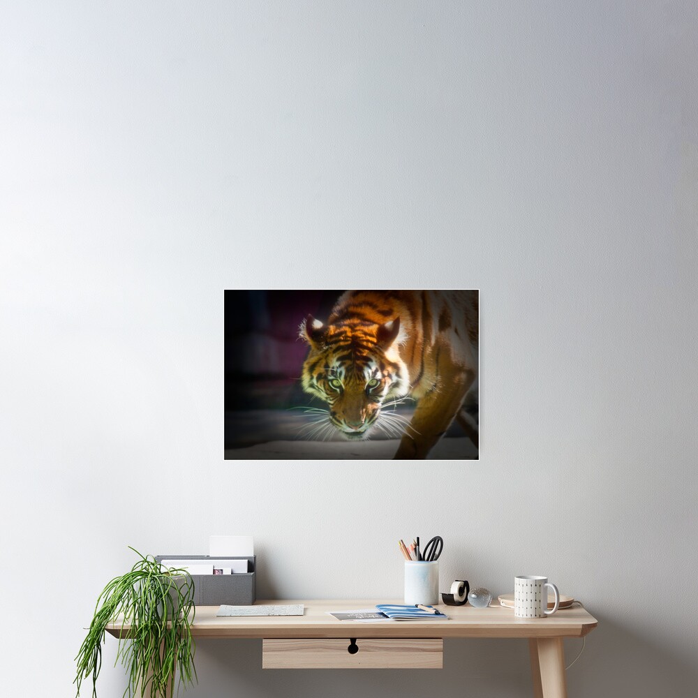 The Stare Poster