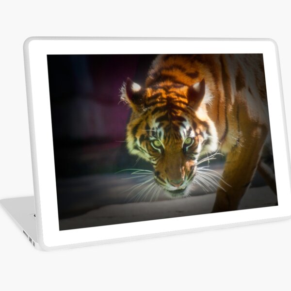 The Stare Laptop Skin