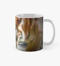 The Stare Classic Mug